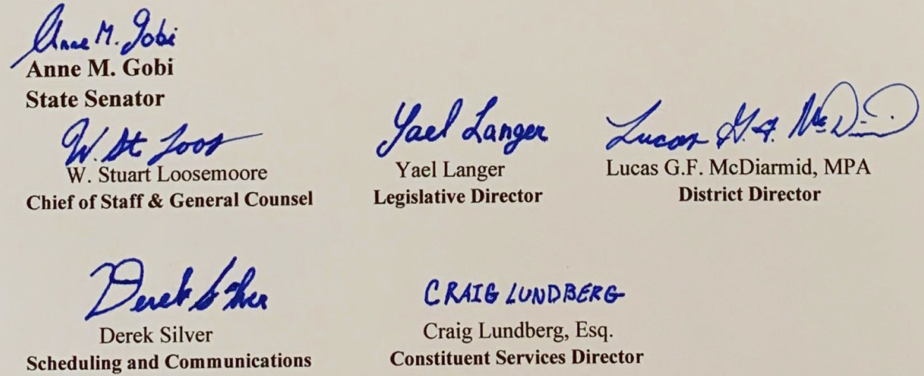 Sen. Anne Gobi's team